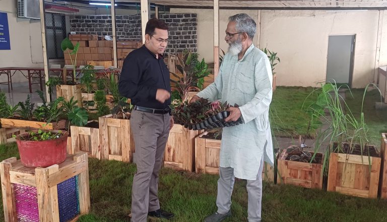 ठाणे जिल्हा माहिती कार्यालयाच्या छतावर फुलली अनोखी बाग 1